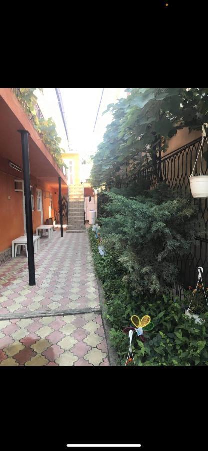 Hotel Vila Gino Costinesti Zewnętrze zdjęcie